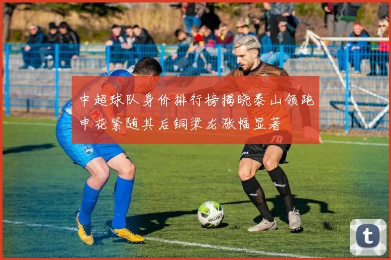 中超球队身价排行榜揭晓泰山领跑申花紧随其后铜梁龙涨幅显著