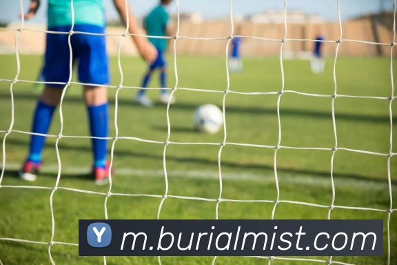 平台使命图